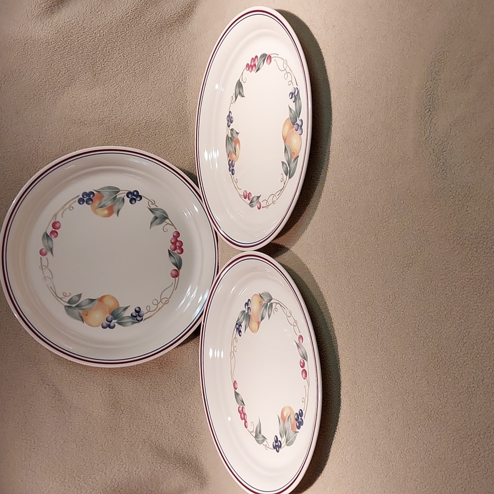 Vintage Corelle Dinner Plates